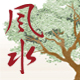 Feng Shui Audit